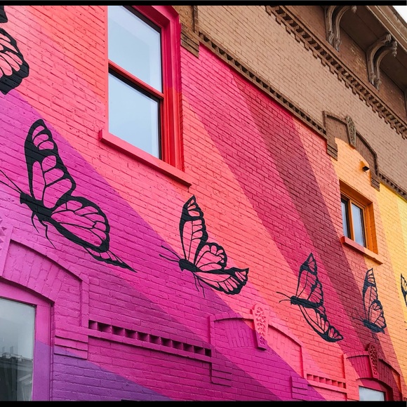 Meet your Posher, Ashley - Picture 2 of 7